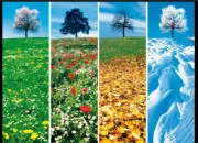 Test Quelle saison correspond � ta personnalit� ?