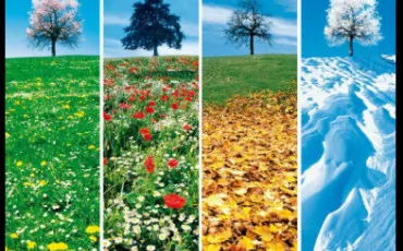 Quiz Test de personnalit�