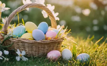 Quiz Test de personnalit�