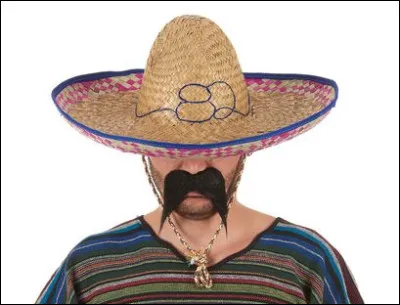 Qui chantait dans les ann&eacute;es 60 "Un Mexicain basan&eacute;, est allong&eacute; sur le sol, un sombrero sur le nez"...