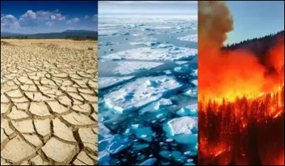 Quel animal est capable de supporter les environnements les plus extr&ecirc;mes ?