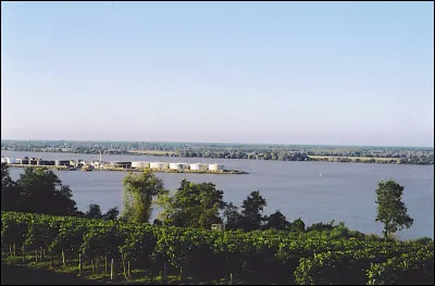 Dans "Alouette, je te plumerai", quelle est la deuxi&egrave;me partie "plum&eacute;e" ?