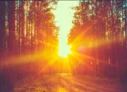 Test Quelle est la couleur de cheveux qui te va le mieux ?