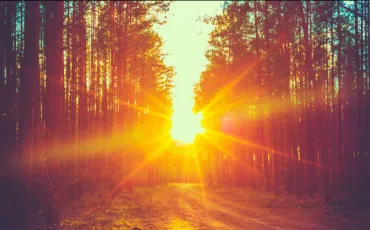 Quiz Test de personnalit�