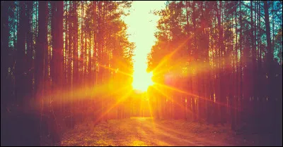 Le matin, tu es plus...