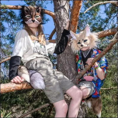 Est-ce que tu as souvent mal aux articulations ?