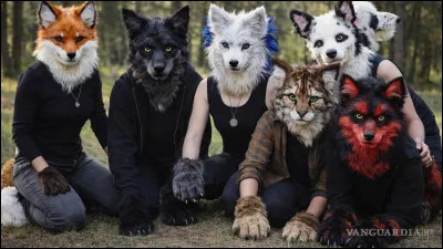 As-tu des amis qui en font ?