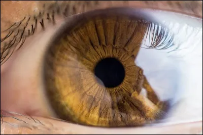 De quelle couleur sont tes yeux ?