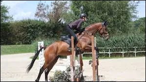 Quelle est cette discipline ? (3)