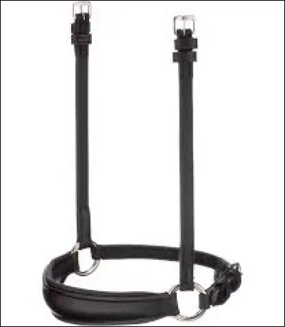 Et celle-ci, c'est...