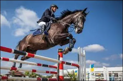 Ce cheval saute un...