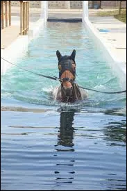 Qu'est-ce que c'est ?