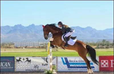 Quel est le record du monde de hauteur saut&eacute;e par un cheval ?
