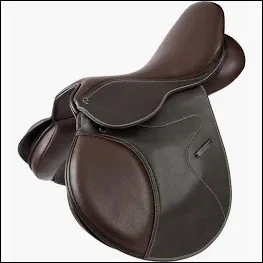 C'est une selle de...