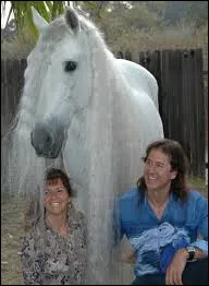 Qui sont ces personnes ?