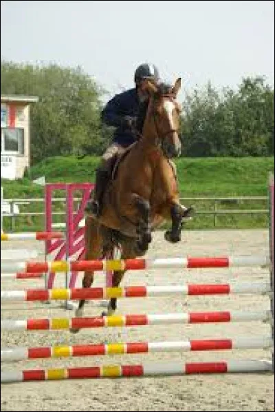 Quel est le nom de cet obstacle ?