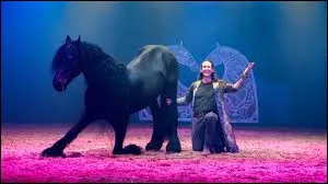 Que fait ce cheval ? (2)