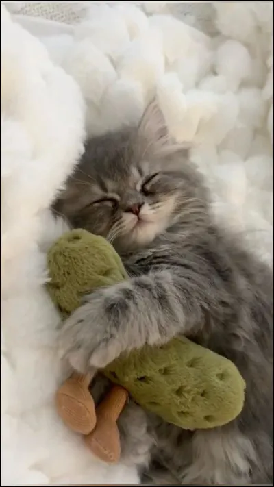 Quel est ton plus grand trait de caract&egrave;re ?