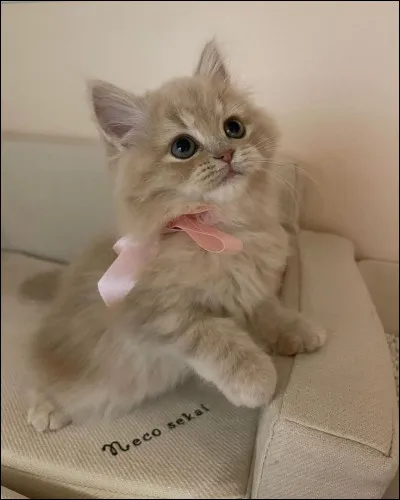 Quel est ton rythme de vie ?