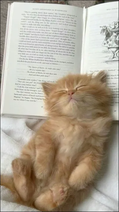 Tes amis diraient que tu es�