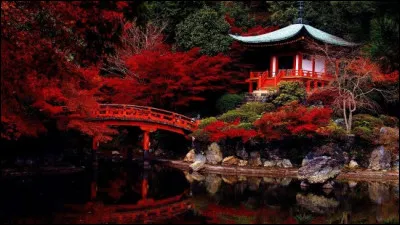 Au Japon, qu'est-ce que le "shinkansen" ?