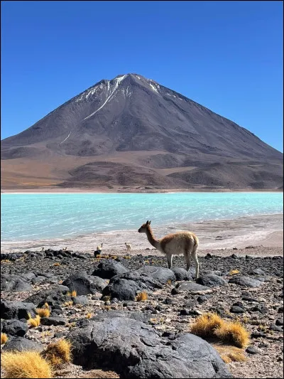 Quelle est la capitale de la Bolivie ?
