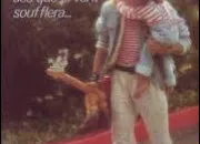 Quiz Le vent en chansons