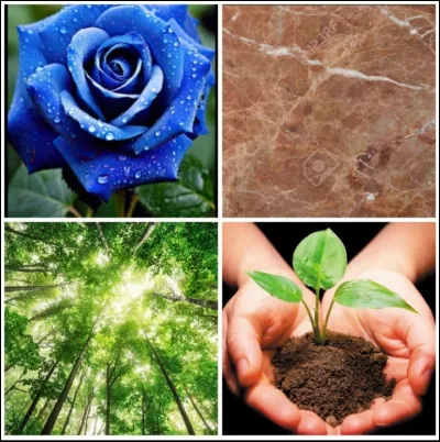 Quelle est ta couleur d'yeux ?