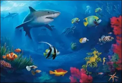 Le requin contient un organe sp&eacute;cial pour d&eacute;tecter les champs &eacute;lectriques. Comment s�appelle-t-il ?