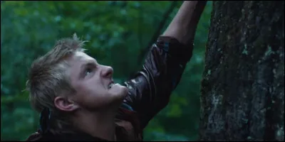 D'ailleurs avant les jeux, qu'a-t-il dit &agrave; Katniss :