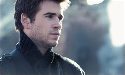 Attention les images n'ont pas de rapport avec les questions.Pour commencer en douceur, quel &acirc;ge avait Gale lors du premier tome de "Hunger Games" ?