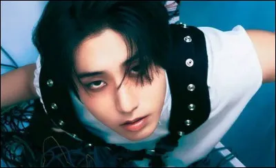 O&ugrave; est-il n&eacute; ?