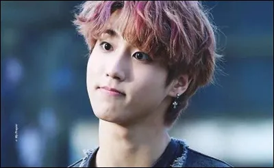 Comment s�appelle le trio dont il fait partie ?