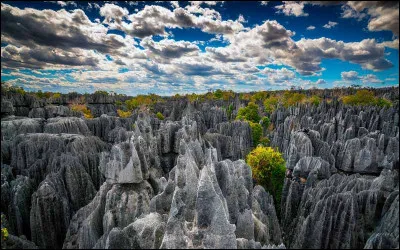 C'est tr&egrave;s rocailleux... mais c'est tr&egrave;s beau. Me voil&agrave; sur une &icirc;le pour d&eacute;couvrir la r&eacute;serve naturelle int&eacute;grale du Tsingy de Bemaraha inscrite depuis 1990 sur la liste du patrimoine culturel mondial de l'UNESCO. O&ugrave; suis-je ?