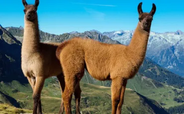 Quiz Culture g�n�rale