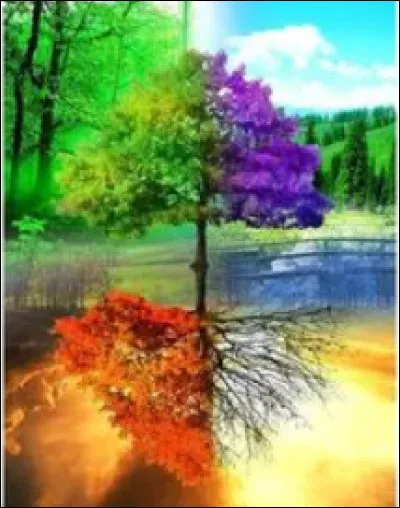 Quelle est ta saison pr&eacute;f&eacute;r&eacute;e ?