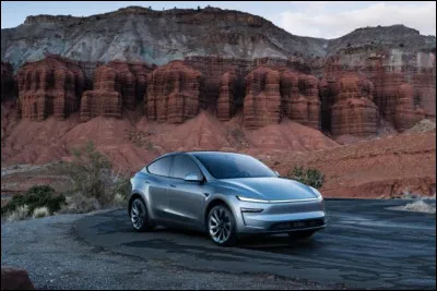 Quel milliardaire est connu pour les voitures Tesla ?