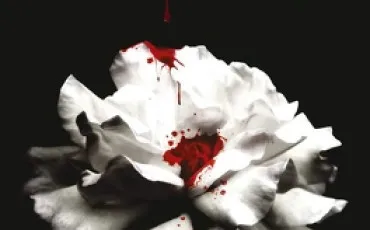 Quiz Litt�rature, po�sie