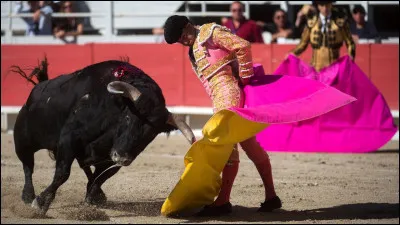 Quelle couleur rend les taureaux furieux lors d'une corrida ?