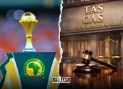Quiz Sport - Les nations d'Afrique qualifi�es � la Coupe du Monde de football de 2026