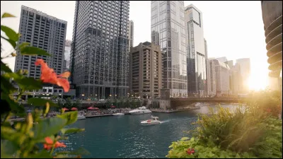 Dans quelle ville arrive Tintin au d&eacute;but ?