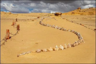 Quel est le nom de ce site ?