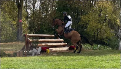 Et quelle est cette discipline ?