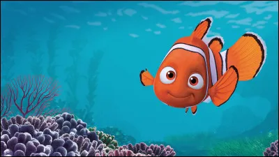 Voici Dory.