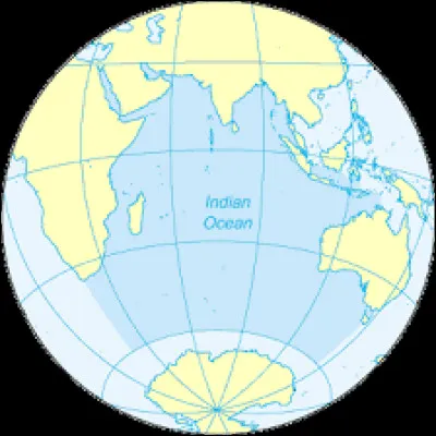 L'oc&eacute;an Indien est celui qui abrite le plus de poissons au monde.