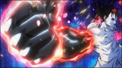 Quel est le nom de la technique avanc&eacute;e de Haki, pratiqu&eacute;e &agrave; Wano ?