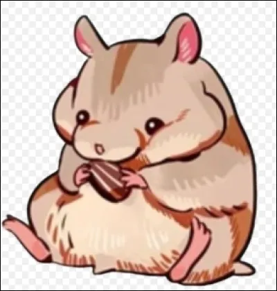 Comment s'appelle son hamster ?