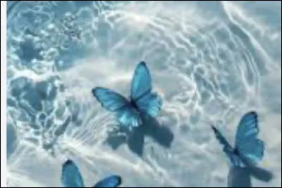 Aimes-tu la mer, les marins, &ecirc;tre sur un bateau, etc. ?