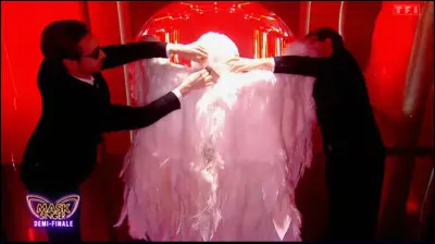 Malheureusement pour la chouette, son aventure s'arr&ecirc;te &agrave; la demi-finale et elle n'acc&eacute;dera pas aux portes de la finale de "Mask Singer". Qui &eacute;tait derri&egrave;re ce costume et a &eacute;t&eacute; d&eacute;masqu&eacute; le vendredi 19 juin 2026 ?