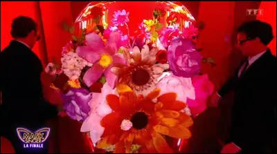 Malheureusement, le bouquet &eacute;tait le premier personnage &agrave; &ecirc;tre &eacute;limin&eacute; lors de la finale de ''Mask Singer''. Qui &eacute;tait derri&egrave;re ce costume qui a &eacute;t&eacute; le premier &agrave; &ecirc;tre d&eacute;masqu&eacute; le samedi 27 juin 2026 ?